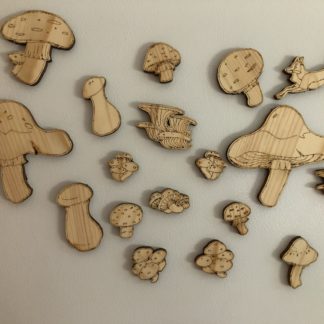 mushroom magnets