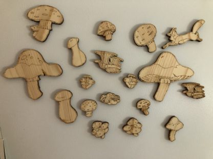 mushroom magnets