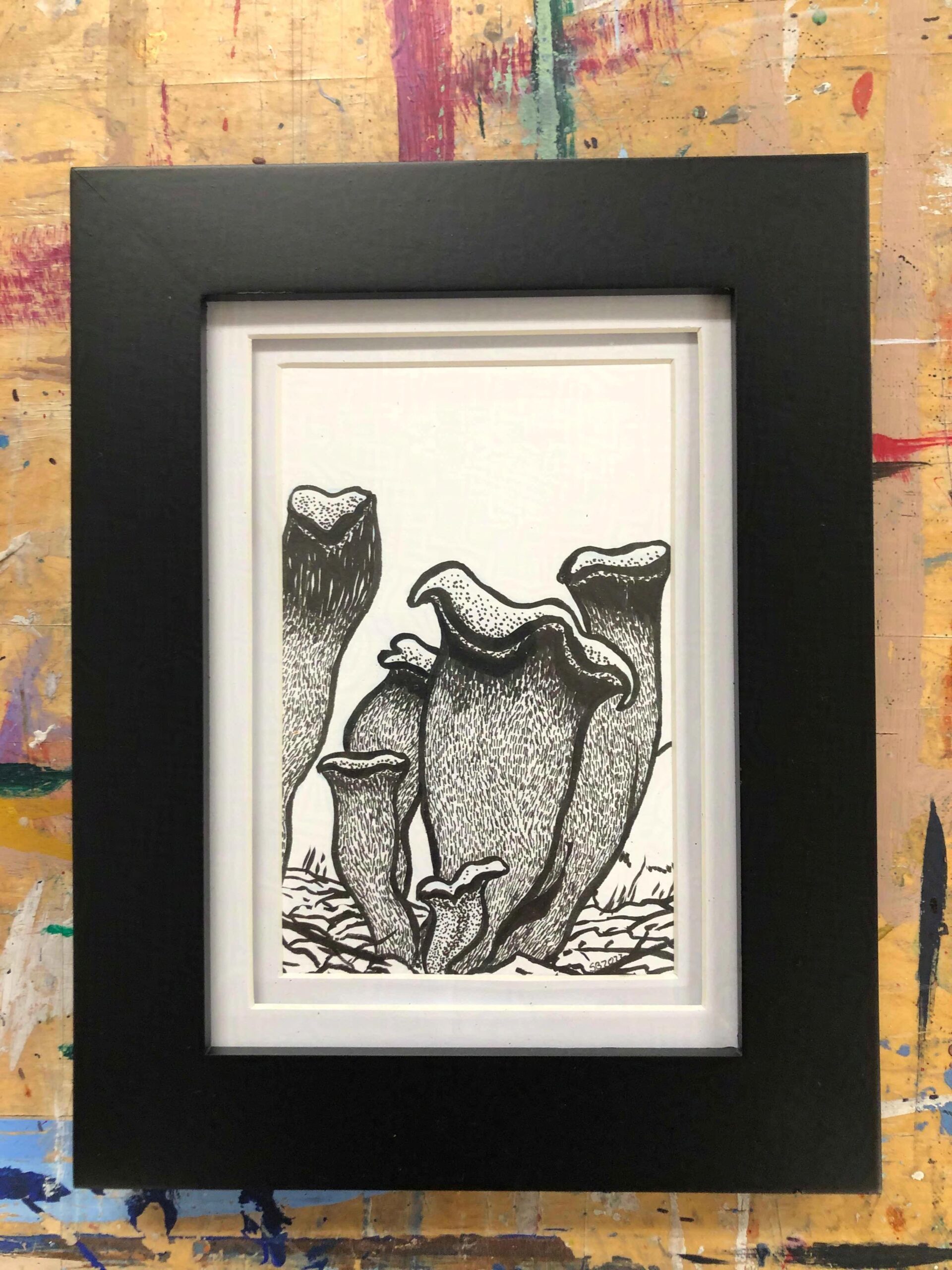 Mushroomtober: Black Trumpet