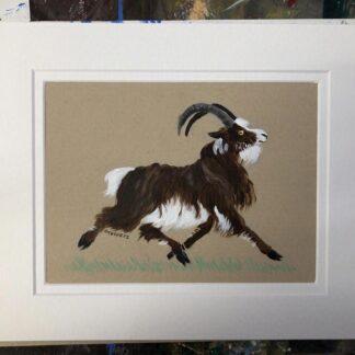 Sean-nòs (Irish Goat)