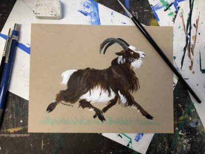 Sean-nòs (Irish Goat) - Image 2