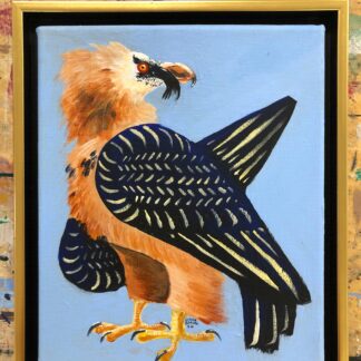 Leave No Trace (Bearded Vulture)